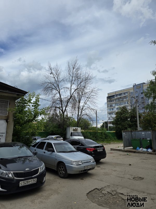 Несколько сухих деревьев