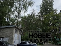 Сухое дерево
