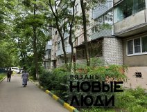 Аварийное дерево возле дома