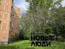Сухие ветки на проводах
