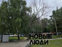 Сухое дерево над детской площадкой