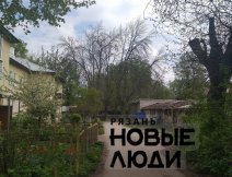 Сухие деревья