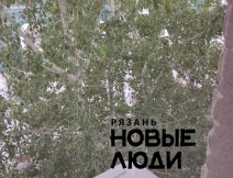 Тополь подпирает угол дома